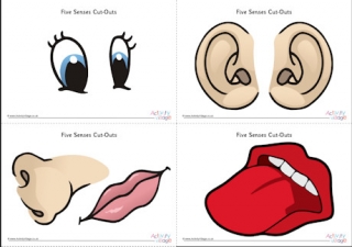 Five senses cut outs - large