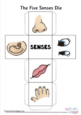 Five Senses Die