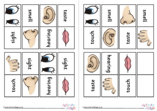 Five Senses Dominoes