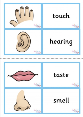 Five Senses Matching Cards