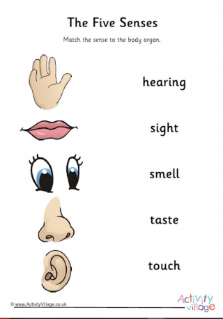 Five Senses Matching Worksheet