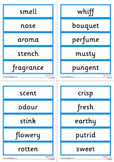 Five Senses Vocabulary