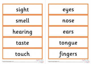 Five senses word cards