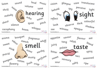 Five Senses Word Mats