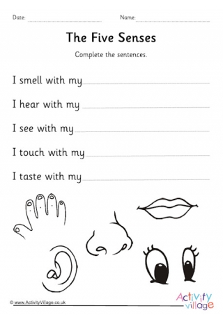 Five Senses Worksheet