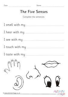 Five Senses Worksheets