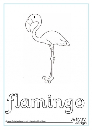 Flamingo Finger Tracing