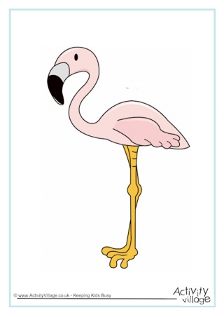 Flamingo Poster