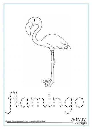 Flamingo Word Tracing