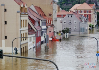 Flood Poster