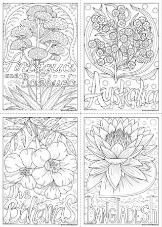 Flowers of the Commonwealth Colouring Pages