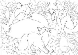 Foxes Scene Colouring Page