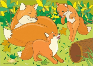 Foxes Scene Poster