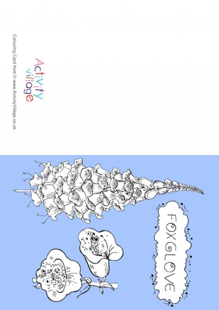 Foxglove Colour Pop Colouring Card