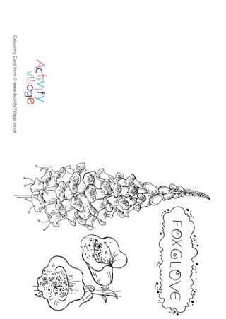Foxglove Colouring Card