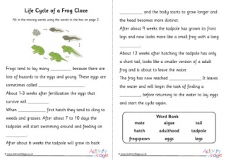 Frog Life Cycle Cloze