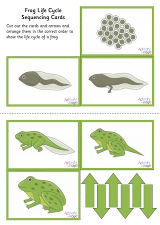 Frog Life Cycle Sequencing Cards