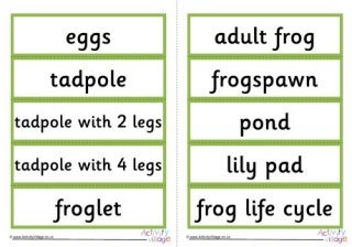 Frog Life Cycle Word Cards