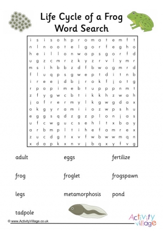 Frog Life Cycle Word Search
