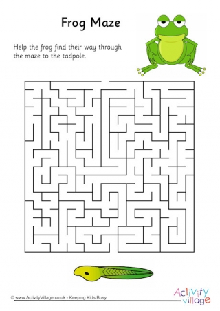 Frog Maze