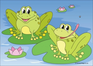 Frogs Scene Poster