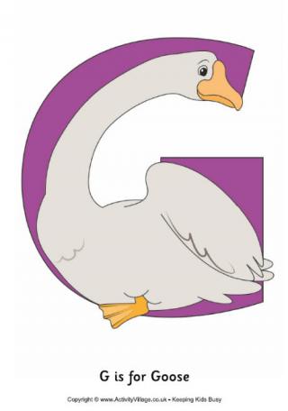 G is for Goose Poster