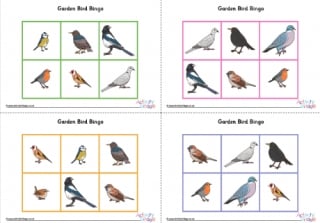 Garden Bird Bingo