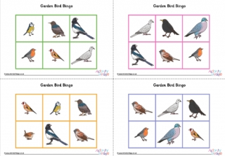 Garden Bird Bingo