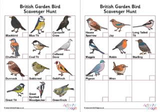 Garden Bird Scavenger Hunt