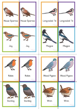 Garden Birds Snap Pairs Cards