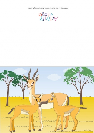 Gazelles Scene Card