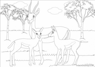 Gazelles Scene Colouring Page