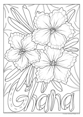 Ghana National Flower Colouring Page