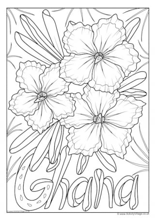 Ghana National Flower Colouring Page