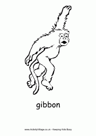 Gibbon Colouring Page
