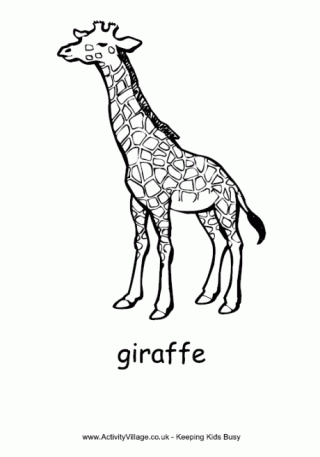 Giraffe Colouring Page