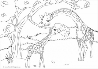 Giraffes Scene Colouring Page