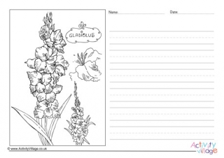 Gladiolus Story Paper
