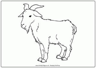 Goat Colouring Page 3