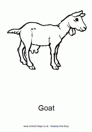 Goat colouring page 2