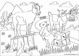 Goats Scene Colouring Page