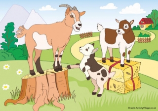 Goats Scene Poster