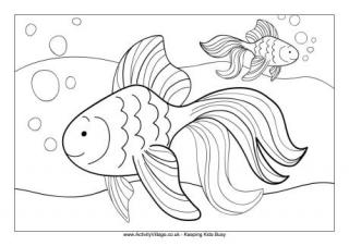 Goldfish Colouring Page