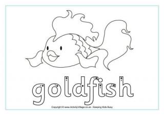Goldfish Finger Tracing