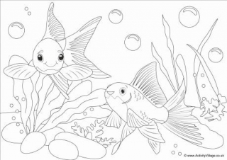 Goldfish Scene Poster