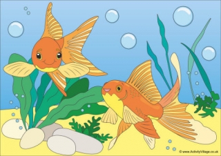 Goldfish Scene Poster