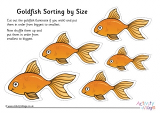 Goldfish Size Sorting