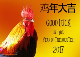 Good luck in this Year of the Rooster Poster
