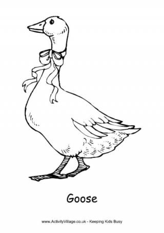 Goose colouring page