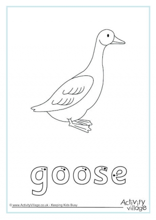 Goose Finger Tracing